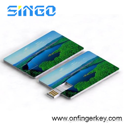 Credit Card Pen Drive